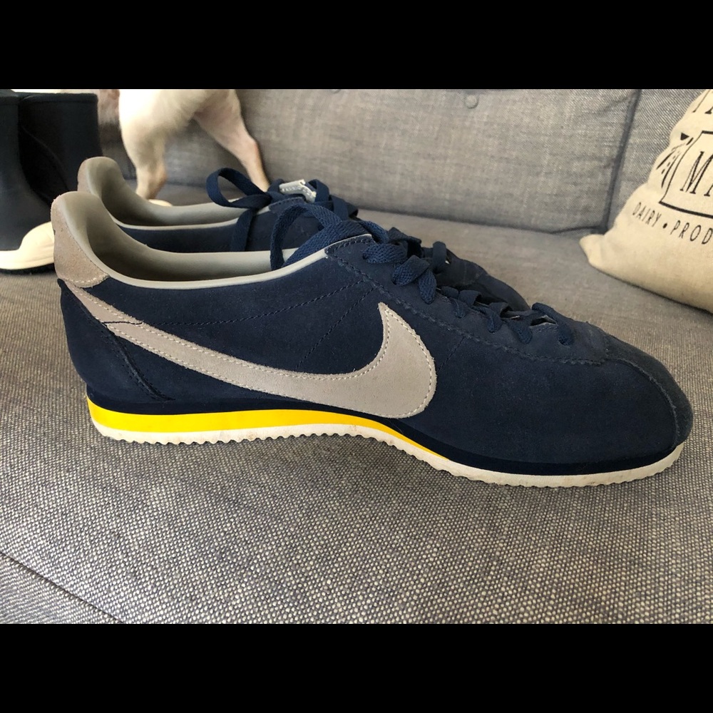 Retro Nike Men’s Shoe